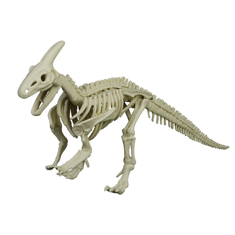 Dinosaur Archaeology Mining Toys Assembled Skeleton Model