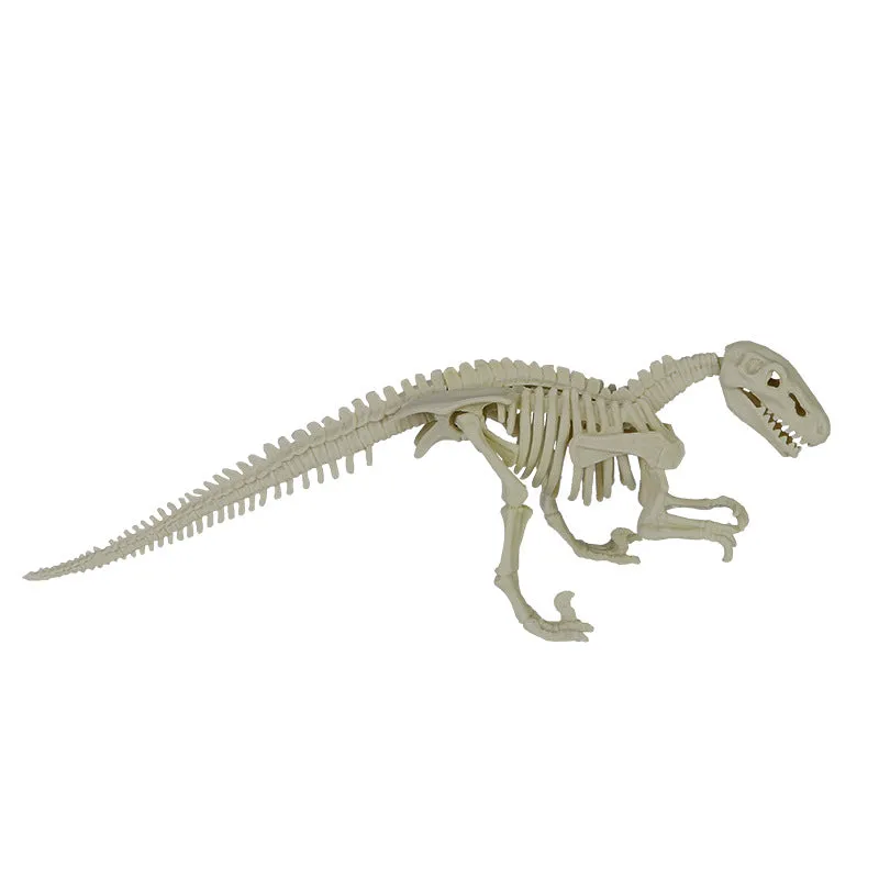 Dinosaur Archaeology Mining Toys Assembled Skeleton Model