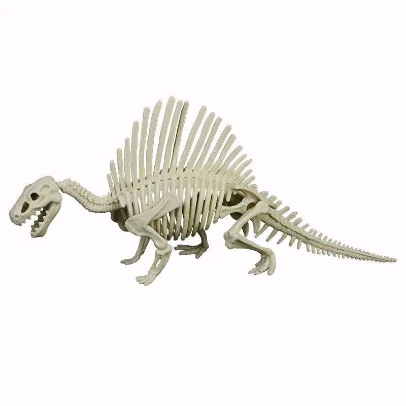 Dinosaur Archaeology Mining Toys Assembled Skeleton Model