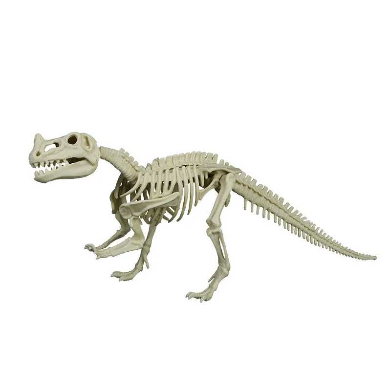 Dinosaur Archaeology Mining Toys Assembled Skeleton Model