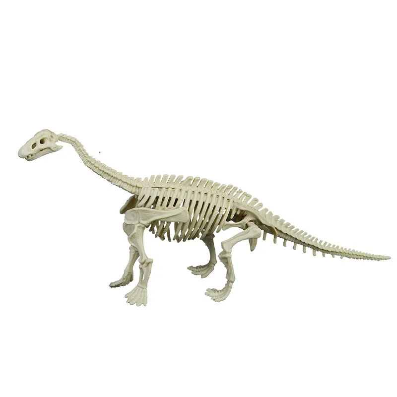 Dinosaur Archaeology Mining Toys Assembled Skeleton Model