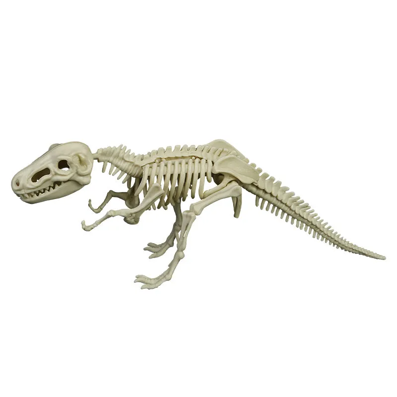 Dinosaur Archaeology Mining Toys Assembled Skeleton Model