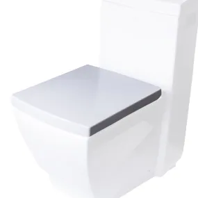 EAGO R-336SEAT Replacement Soft Closing Toilet Seat for TB336