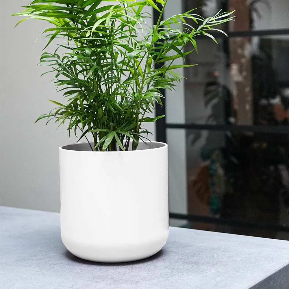 Lisbon White Ceramic 13.5cm Pot